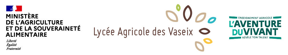 Logo officiel lycée des Vaseix